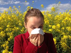 Allergie Pollen Schnupfen Blüten.jpg