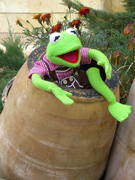 Datei:Kermit.jpg